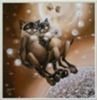 Кошки